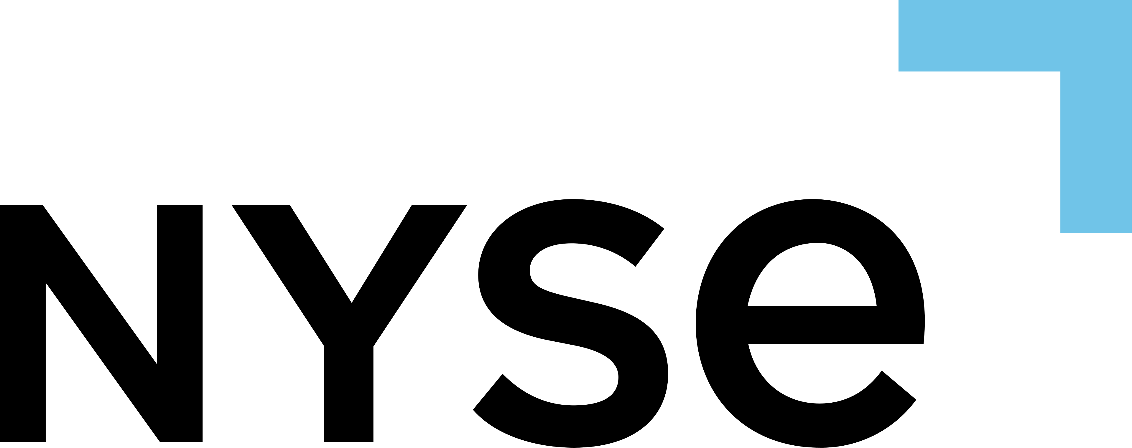 NYSE logo